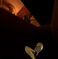  consigue una de las espinilleras.