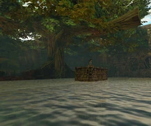 El estanque de las .