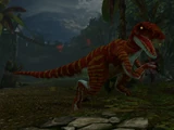 Velociraptor