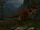 Velociraptor