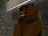 Oso