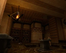 La biblioteca protegida por un .