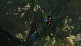 お花摘み1 shadowofthetombraider