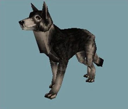 Huskie Siberiano
