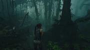 不時着1 shadowofthetombraider