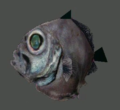 Piranha