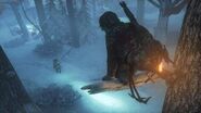 NA Rise of the Tomb Raider “Siberian Wilderness” E3 Demo