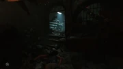 水から顔を出して2 shadowofthetombraider