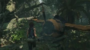 不時着3 shadowofthetombraider