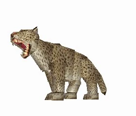 Leopardo delle nevi