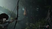 舞い散る羽根4 shadowofthetombraider