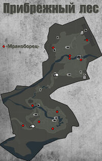 Карта "Прибрежный лес".jpg