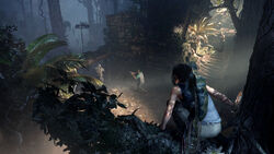 Shadow of the Tomb Raider - Screenshot 19.jpg