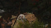 不時着11 shadowofthetombraider