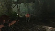 不時着7 shadowofthetombraider