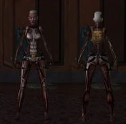 Costume sbloccabile in Anniversary