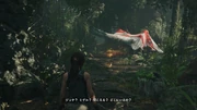 不時着2 shadowofthetombraider