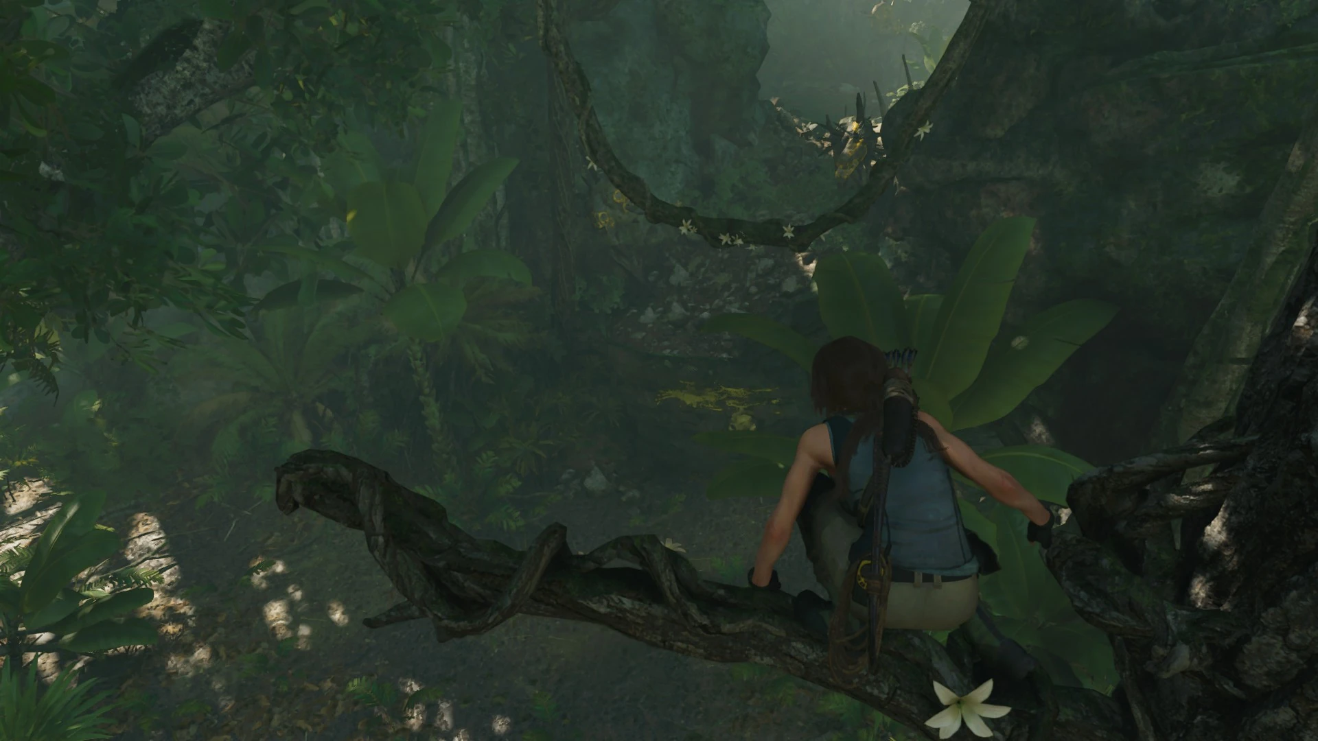 お花摘み トゥームレイダー Wiki Fandom お花摘み トゥームレイダー Wiki Fandom