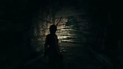 狩猟月3 shadowofthetombraider