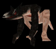 Apparence d'un mutant.