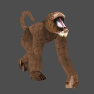 Apparence du singe dans Tomb Raider IV.