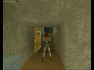 Tous les secrets du niveau "Le Temple du Chat", par Captain Alban.