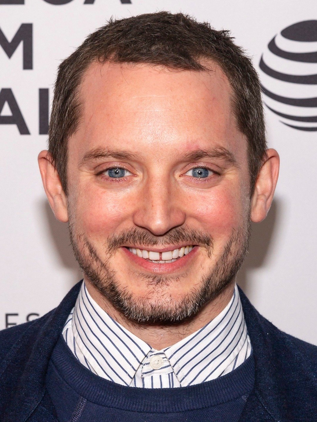 Elijah Wood Over the Garden Wall Wiki Fandom