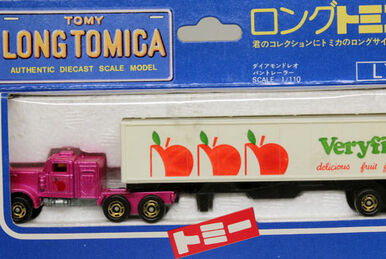 Long Tomica L5- Hino Semi-Trailer Marine Container 40ft