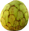 Cherimoya