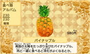 Pineapple JP