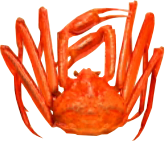 Crab