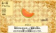 Melon jp