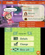 A view of a Mii's profile.