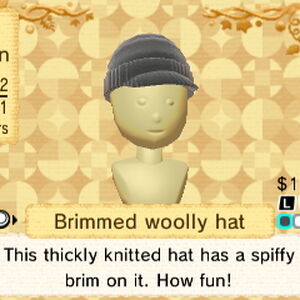 woolly hat shop bike parts