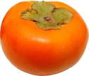 Persimmon