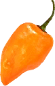 Habanero