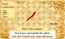 Red chilli pepper