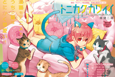 HGS Anime - Capa do volume 16 do mangá Tonikaku Kawaii.