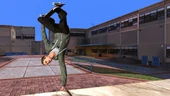 Tony Hawk lipping the QP