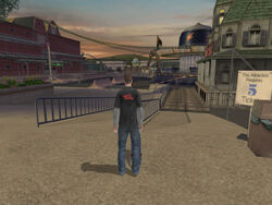 Tony Hawk's Pro Skater 4 (PS2) - Carnival: Goals 