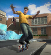 Rodney Mullen in THP8