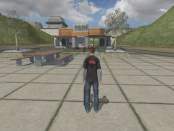 Tony Hawk's Pro Skater 4 (PS2) - Zoo: Goals 