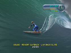 Kelly Slater's Pro Surfer | Tony Hawk's Games Wiki | Fandom