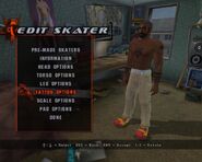 Skater editor in Tony Hawk's Underground