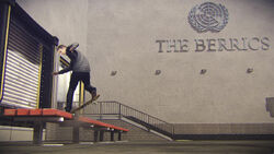 THPS5 Berrics Tony Tailbluntslide 1434460236