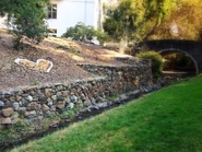 Bridge over the Strawberry Creek