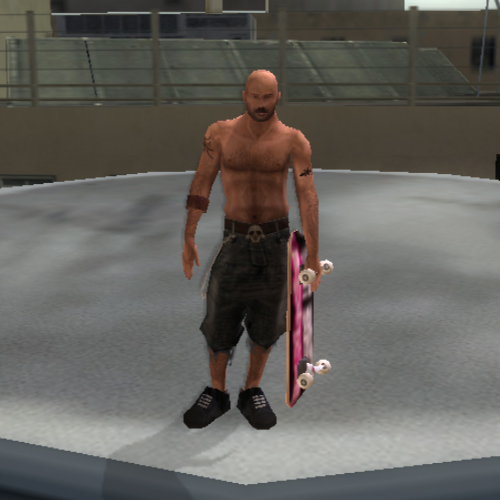 Tony Hawk's Pro Skater 3, Tony Hawk's Games Wiki