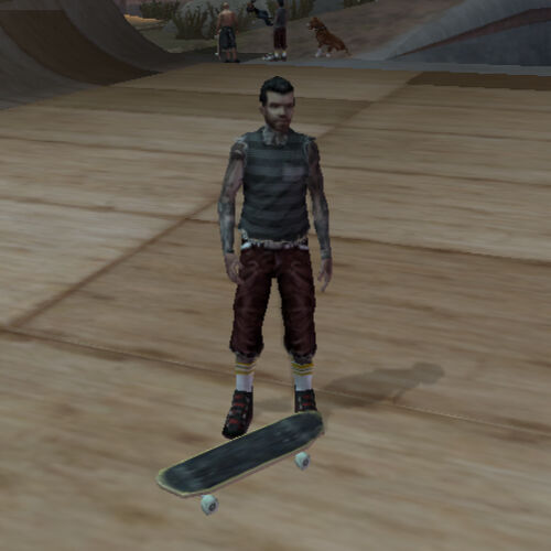 American Wasteland Characters, Tony Hawk's Games Wiki