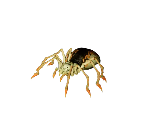 Great Spider | Lord of the Rings: Return to Moria Wiki | Fandom