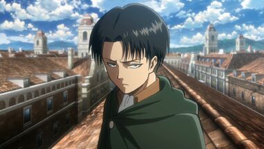Levi